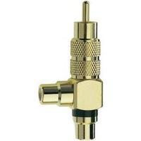 RCA Audio/phono Adapter [1x RCA plug (phono) - 2x RCA socket (phono)] Gold Inakustik