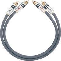 RCA Audio/phono Cable [2x RCA plug (phono) - 2x RCA plug (phono)] 3 m Anthracite gold plated connectors Oehlbach