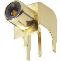 RCA connector Socket, horizontal mount Number of pins: 2 Gold BKL Electronic 1103045 1 pc(s)