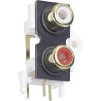 RCA connector Socket, vertical vertical Number of pins: 2 Gold, Red, White BKL Electronic 72384 1 pc(s)