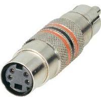 RCA adapter RCA plug (phono) - Mini DIN socket BKL Electronic 0204504 1 pc(s)