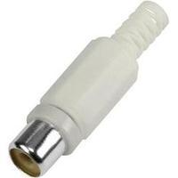 RCA connector Socket, straight Number of pins: 2 White Conrad Components 1 pc(s)