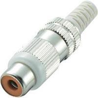 RCA connector Socket, straight Number of pins: 2 White Conrad Components 1 pc(s)