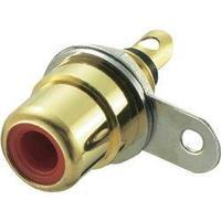 RCA connector Socket, vertical vertical Number of pins: 2 Red Conrad Components 1 pc(s)