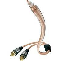 RCA Audio/phono Cable [2x RCA plug (phono) - 1x RCA plug (phono)] 12 m Transparent gold plated connectors Inakustik