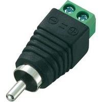 RCA connector Plug, straight Number of pins: 2 Black Conrad Components LT-RAC-DC 1 pc(s)