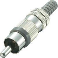 RCA connector Plug, straight Number of pins: 2 Grey Conrad Components 1 pc(s)
