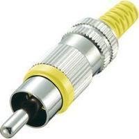 RCA connector Plug, straight Number of pins: 2 Yellow Conrad Components 1 pc(s)