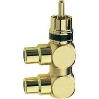 RCA Audio/phono Adapter [1x RCA plug (phono) - 2x RCA socket (phono)] Gold Inakustik