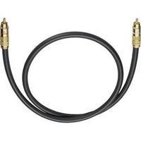 RCA Audio/phono Cable [1x RCA plug (phono) - 1x RCA plug (phono)] 10 m Anthracite gold plated connectors Oehlbach