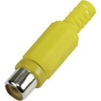 rca connector socket straight number of pins 2 yellow conrad component ...