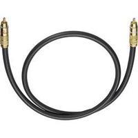 RCA Audio/phono Cable [1x RCA plug (phono) - 1x RCA plug (phono)] 7 m Anthracite gold plated connectors Oehlbach