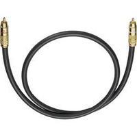 RCA Audio/phono Cable [1x RCA plug (phono) - 1x RCA plug (phono)] 1 m Anthracite gold plated connectors Oehlbach