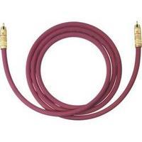 RCA Audio/phono Cable [1x RCA plug (phono) - 1x RCA plug (phono)] 4 m Bordeaux gold plated connectors Oehlbach