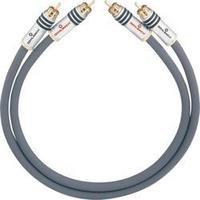 RCA Audio/phono Cable [2x RCA plug (phono) - 2x RCA plug (phono)] 4.75 m Anthracite gold plated connectors Oehlbach