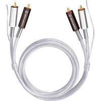 RCA Audio/phono Cable [2x RCA plug (phono) - 2x RCA plug (phono)] 0.50 m Transparent gold plated connectors Oehlbach