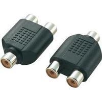 RCA Audio/phono Y adapter [1x RCA socket (phono) - 2x RCA socket (phono)] Black SpeaKa Professional