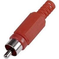 RCA connector Plug, straight Number of pins: 2 Red Conrad Components 1 pc(s)