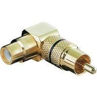 rca audiophono adapter 1x rca plug phono 1x rca socket phono gold blac ...