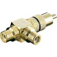 RCA Audio/phono Y adapter [1x RCA plug (phono) - 2x RCA socket (phono)] Gold, Black Goobay