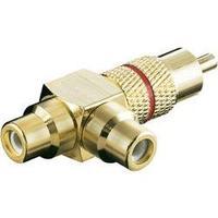 RCA Audio/phono Y adapter [1x RCA plug (phono) - 2x RCA socket (phono)] Gold, Red Goobay