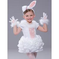 RC16981 Revolution The Bunny Hop