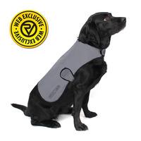 reflect360 waterproof dog coat