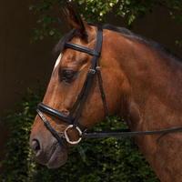 Requisite Padded Flash Bridle