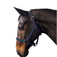 Requisite Economy Headcollar
