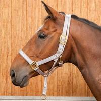 Requisite Anti Rear Headcollar