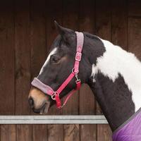 Requisite Embroidered Fleece Hea...