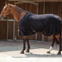 Requisite Soft Fleece Standard