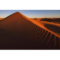 Red Dune Bashing in Dubai Including Desert Camp Experience with BBQ Dinner