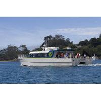 return ferry to stewart island from bluff