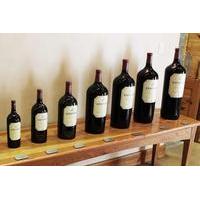 Red Wine Lovers Private Tour from Stellenbosch