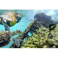 reef and shipwreck snorkeling tour in cancun