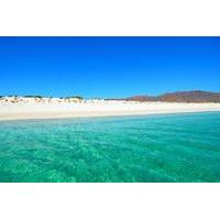 Remote Beach All-Inclusive Sailing Cruise with Snorkeling from Los Cabos