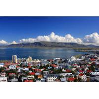 Reykjavik Shore Excursion: Reykjavik Sightseeing Tour