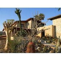 Relais Garden Cactus B&B