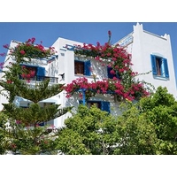 Rena Valetta Studios