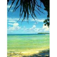 Reef Resort