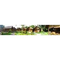 Reggae Guesthouse