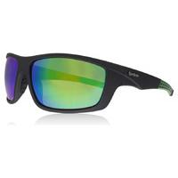 Reebok Classic 8 Sunglasses Graphite GPH 65mm