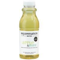 Rejuvenation Water Rejuvenation Apple & Mint 500ml