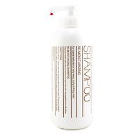 Re-Moisturizing Shampoo ( For Coarse Textured or Very Wavy Curly or Frizzy Hair ) 1000ml/33.8oz