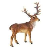 Red Deer
