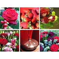 Red Flower Collection