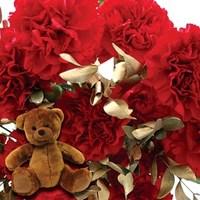 red amp gold carnations 20 stems cuddly bear