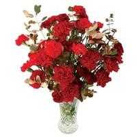 Red Carnations with gold foliage 15 Stems