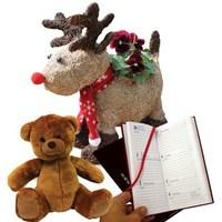 reindeer planter with red pansies diary amp bear